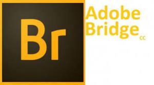 Adobe Bridge CC v14.1.0.257 Crack With Keygen Free Download [2024]